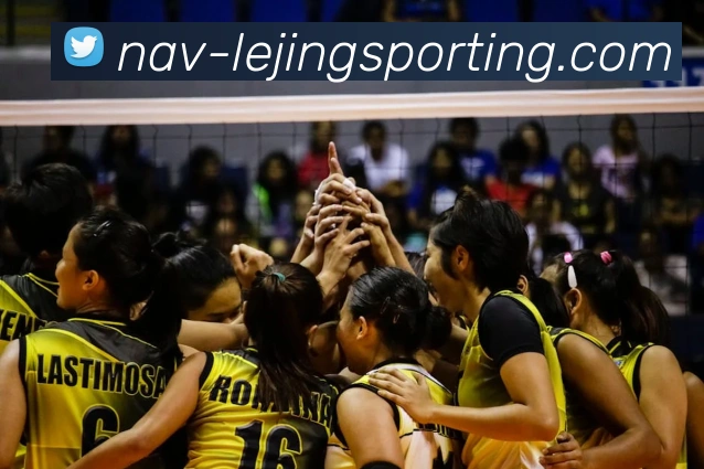 乐竞体育平台生态图